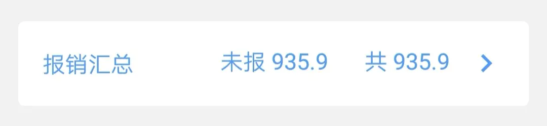 报销条目