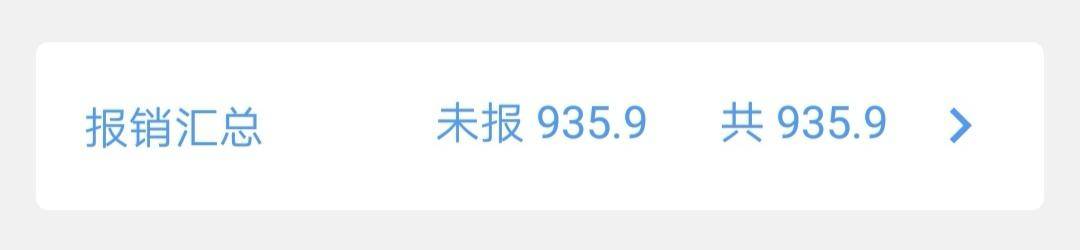 报销条目